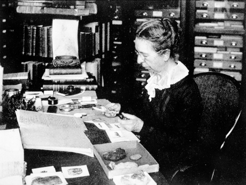 Mary Jane Rathbun (1860-1943) travaillant sur des spécimens de crabes, Smithsonian Institution Archives No restrictions, via Wikimedia Commons