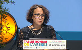 Karima Dirèche, Telemme (AMU-CNRS)