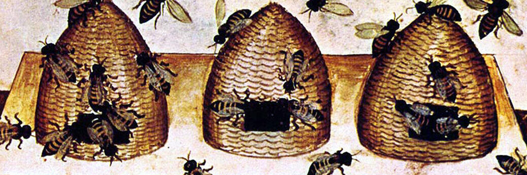 1174567 Iraq / Italy: Foodstuffs - honey. Illustration from Ibn Butlan's Taqwim al-sihhah or 'Maintenance of Health' (Baghdad, 11th century) published in Italy as the Tacuinum Sanitatis in the 14th century; (add.info.: The Tacuinum (sometimes Taccuinum) Sanitatis is a medieval handbook on health and wellbeing, based on the Taqwim al-sihha ('Maintenance of Health'), an eleventh-century Arab medical treatise by Ibn Butlan of Baghdad.); Pictures from History; it is possible that some works by this artist may be protected by third party rights in some territories.