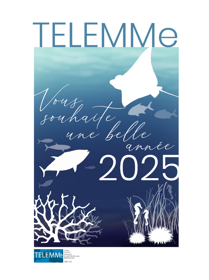 TELEMMe vous adresse ses meilleurs vœux pour 2025, année de la Mer. Crédits : Louise Merquiol (TELEMMe, AMU-CNRS)