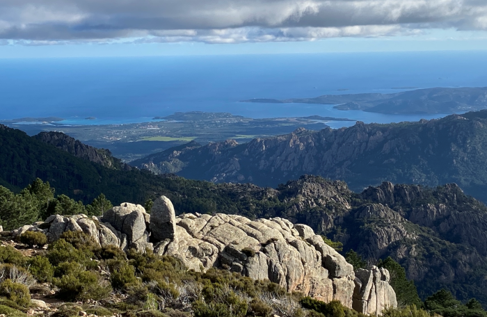 Plaine de Zonza, Daniel Pinson