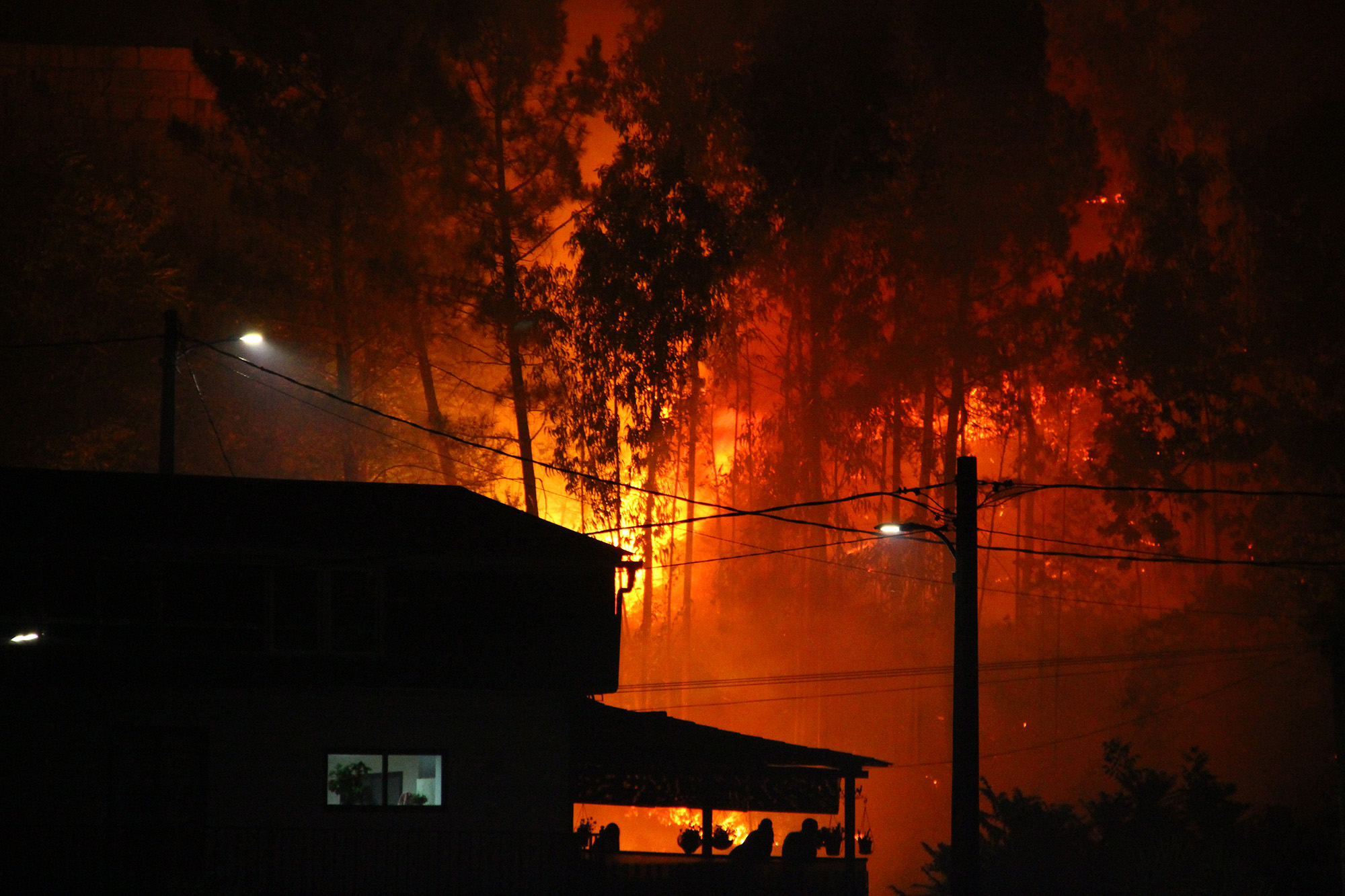 "Incendio forestal en Puente Sampayo (28826965881)" Contando Estrelas from Vigo, España / Spain, CC BY-SA 2.0 ; https://creativecommons.org/licenses/by-sa/2.0>, via Wikimedia Commons